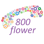 800-flower.png