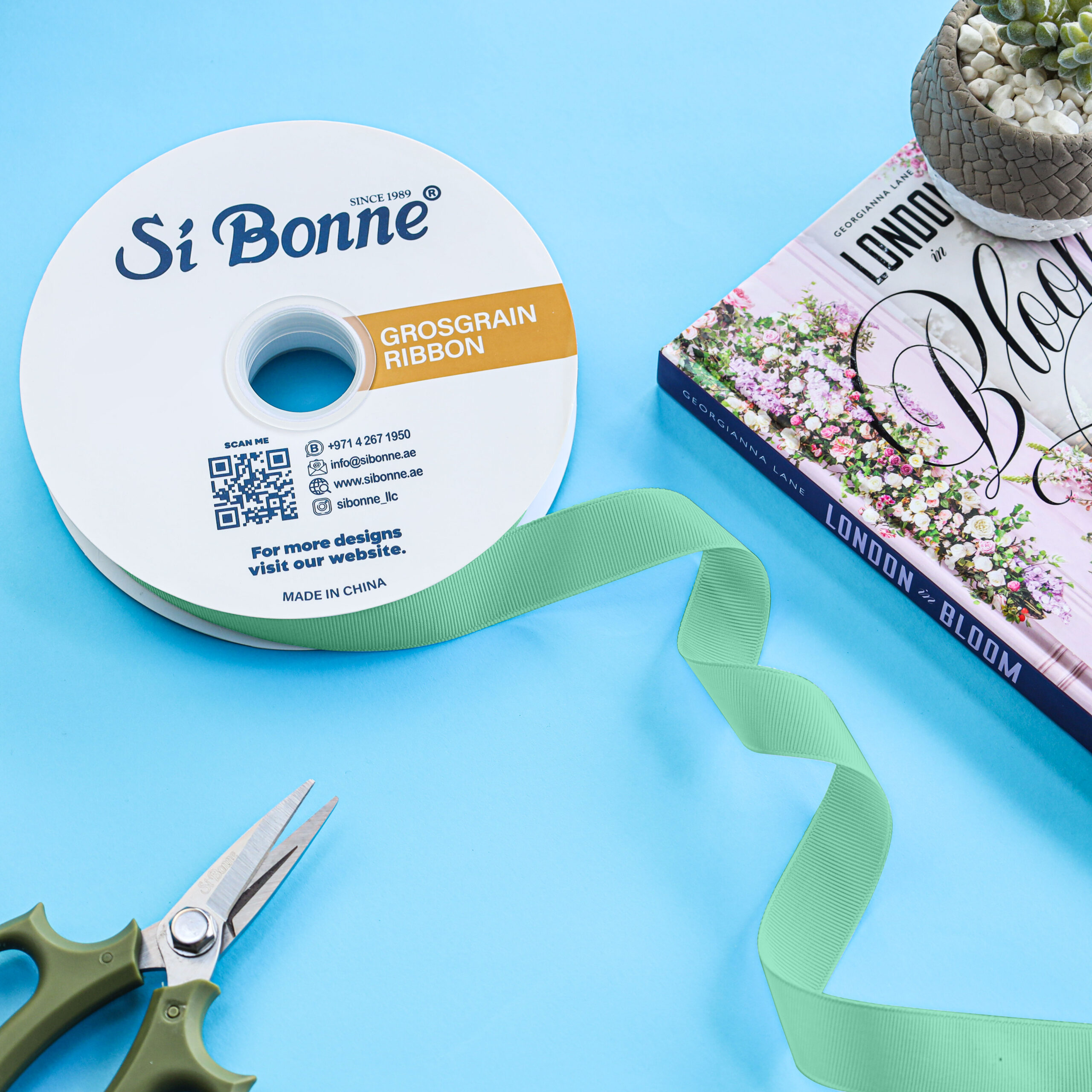 Grossgrain-Ribbon-RB-G-25-20-Tiffany-Color-Tiffany.jpg-2